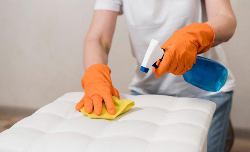 Pessoa Limpando um Sofa